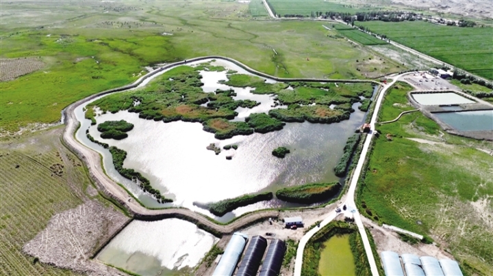 1766539379847892.jpg 1f47ccd712ec2715117c9b1a473c4e65_auto-orient,1.jpg