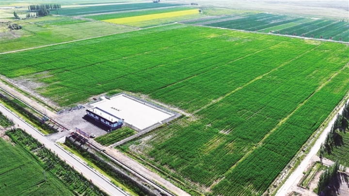 1766539420557047.jpg d602a4c37ffadf473e7d67840524047e_auto-orient,1.jpg