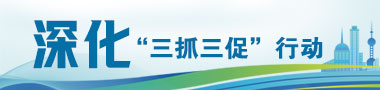 深化“三抓三促”行动