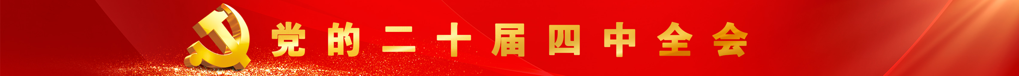 党的二十届四中全会