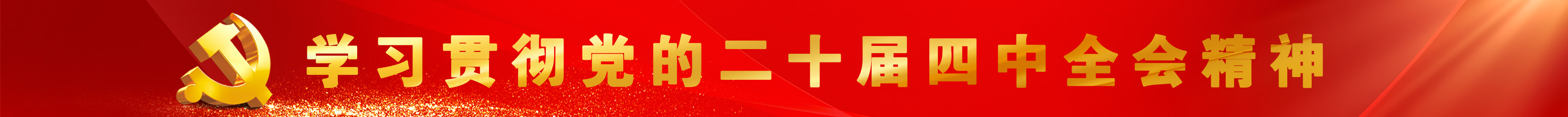 党的二十届四中全会