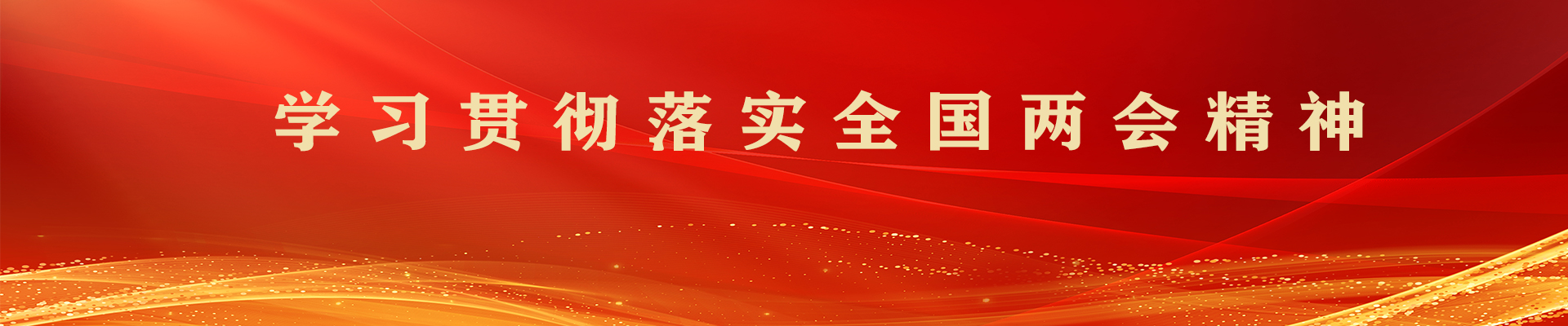 学习贯彻落实全国两会精神