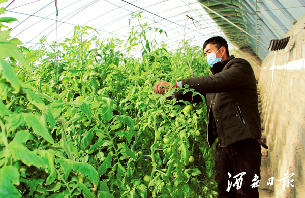 QQ截图20200228100747