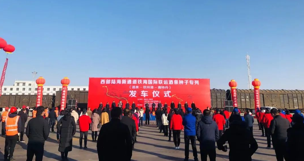 QQ截图20221117215945